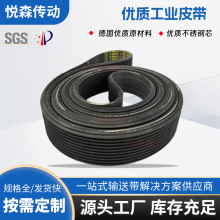 优质工业皮带传动带同步带厂家HAAS驱动带 8MX -PR/ 5-5 (HAAS SL