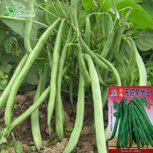 �ձ��o����ض��N�Ӹ߮a��ȫ�ܵض��� �ļ����N�� �߹��ඹ��