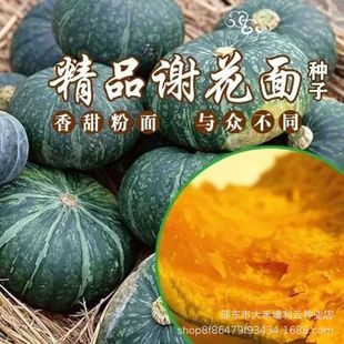 �x�����ϹϷN����������Ϲ����泬���ļ��߲˵��S�㻨�GƤ����