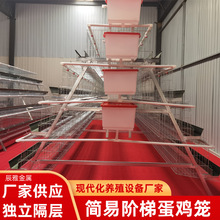 ���A��ʽ�\���p߅ʳ�۵��u�\����\���u�\���u�\4�T���ӯB�B�u�\