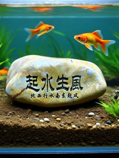 �½�������ʯ�~���辰�쾰�������������[��ʯ���\�Dʯ�^���֔[��