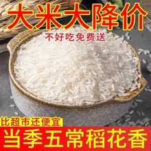 东北大米五常新米10斤20斤五常新大米珍珠米圆粒稻花香米厂家批发