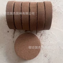 进口椰糠压缩椰糠圆饼/椰饼种植土 椰砖饼块 盆栽压缩土 育苗块
