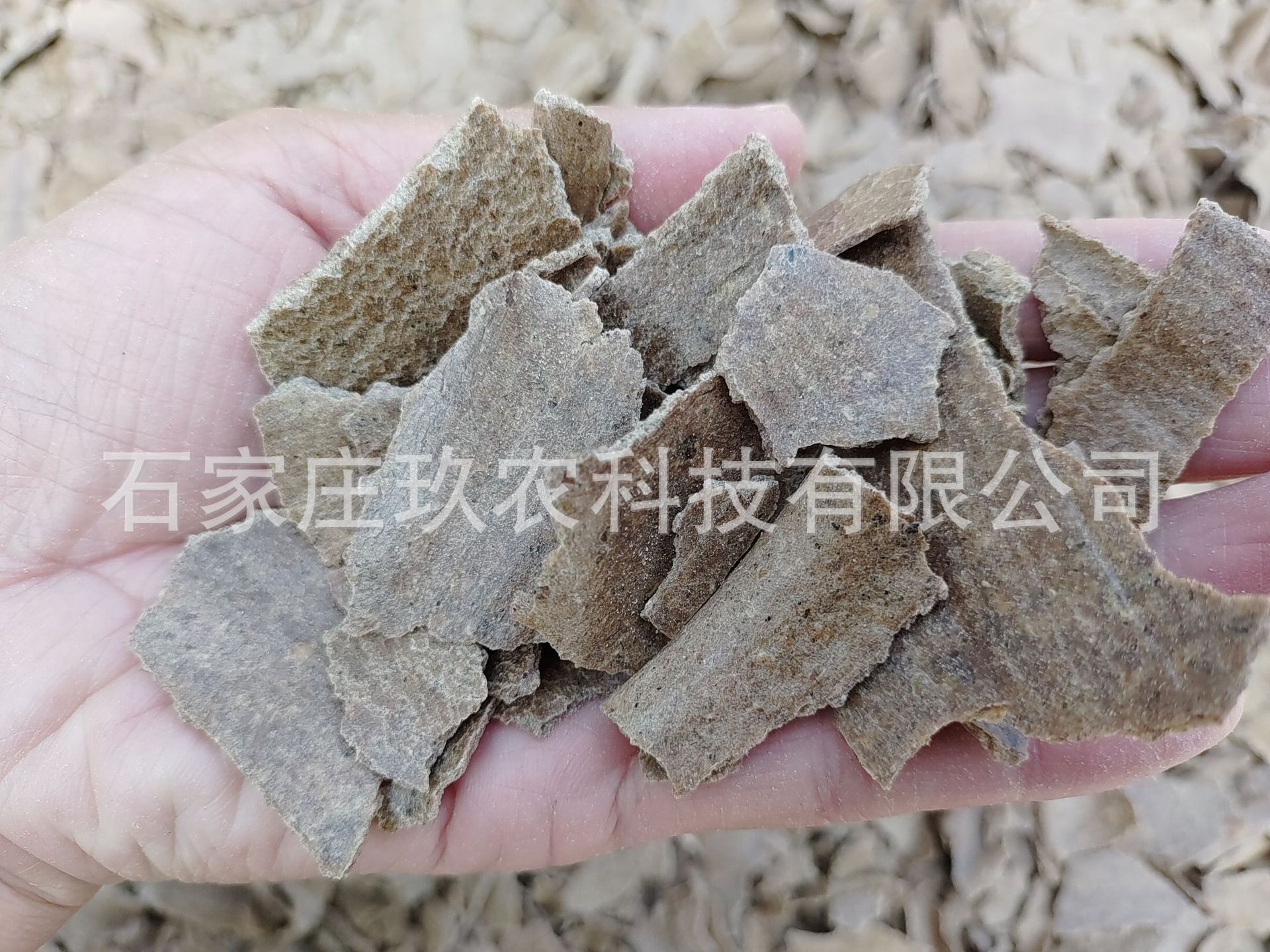 fa00aef00f61b2e23e5a992e788965