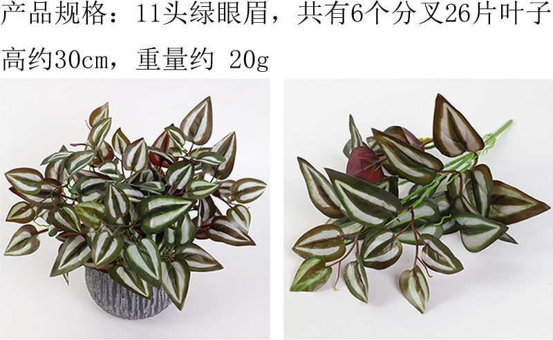 详情图