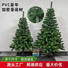 �羳PVC�}�Q�����ֲ�q�}�Q���}�Q���Ɍ��b[�������ۯB�}�Q��