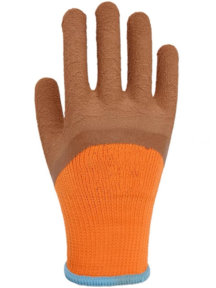 IMG_0917(20231129-214113)