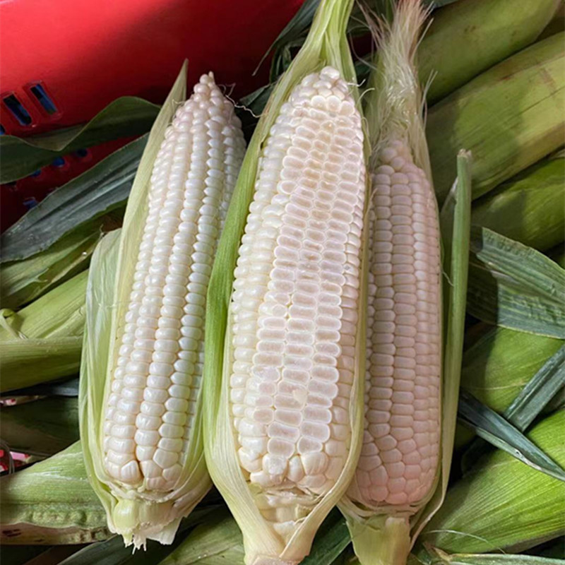 e3def7bee201203789175202ed788c