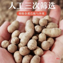 ��̖�w���F��ɽș���r��ɽș���Ǻ��J3-5���b���l