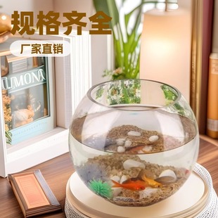 Micro-Landscape Ecological Glass Hydroponic Succulent Plant Flower Vessel Moss Hydroponic Creative Round Opening Fish Tank Manufacturer Batch