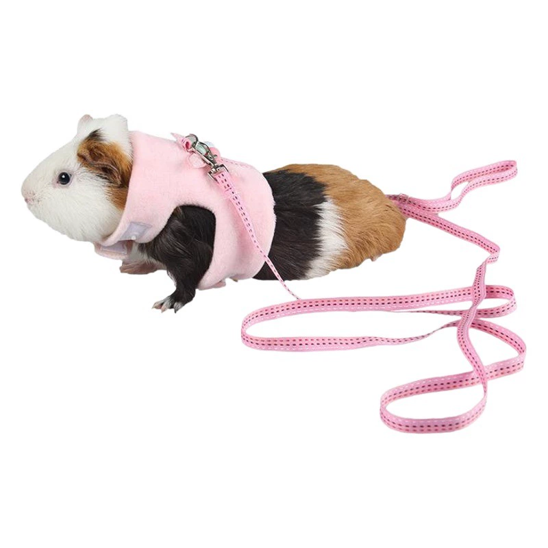 Одежда для хомяков, ежей и шиншилл, весенне-летняя одежда, шлейка для мелких животных, поводок для гусят на улицу