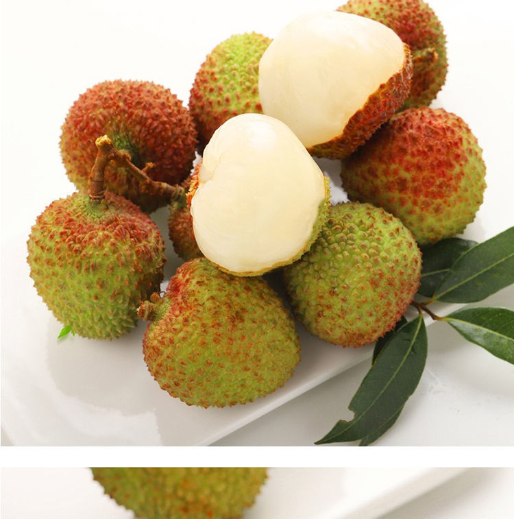 e9191770-cc8b-4ffa-816e-daa97bfe7f1a.jpe