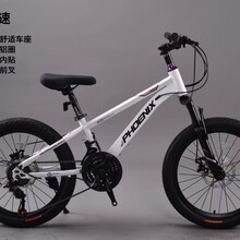 凤凰儿童自行车6-8-10-12岁中大童男女孩20寸22寸变速山地碟刹车