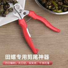 �¿����ݼ�����·��呴��ݽz�Qȥβ�Q��ʳƷ���N��б���Q��β��