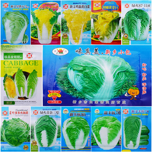����߲˰ײ˷N�Ӵ�ȫ���l���Ϳ�����޲����50�ﶬˮ���߲˷N��