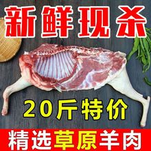 ��S���]ɢ�B�������r���⎧Ƥ������������ȥ��������Ǳ��r���a