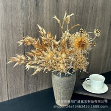 ɫϵ滨Ҿ҃ȸͰbٻՑcc廨[l