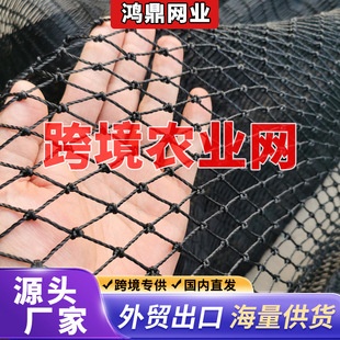 �羳�Bֳ�Wȫ���r�I�þW��ɫ�ˈ@�W�r�þW����W�O�W�B�u�W�w���W