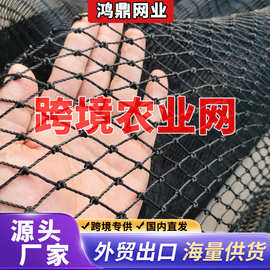 跨境养殖网全新农业用网黑色菜园网农用网球场网渔网养鸡网体育网