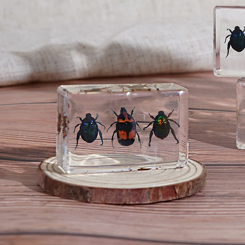 세 종류의 황금거북 (2)