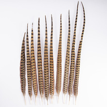 山鸡毛鸡羽毛diy逗猫棒羽毛俏花旦京剧戏曲舞蹈 京戏翎子山鸡尾