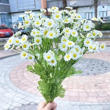 lL֦Сʾrշ滨ٻյ߸ɻ[С[O