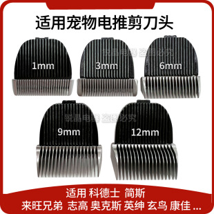 �m�Á����ֵ�Ӣ�����B������Ƽ����^�������ë��ë��