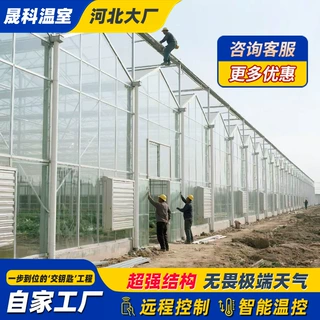 定制玻璃大棚农业工程种植养殖大棚钢管骨架智能连栋玻璃温室大棚