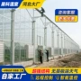 工程定制养殖种植大棚