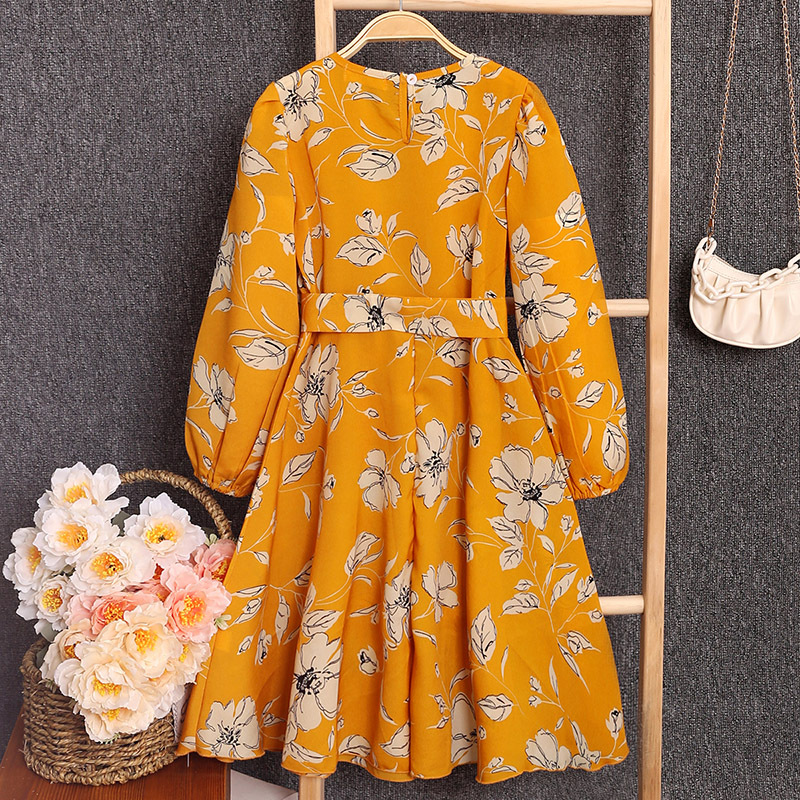 Mädchen Langarm Prinzessinnenkleid Für Herbst Und Frühling_voghion.com