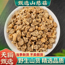 ɽ�ȹ�éë�ȹ�ɽ�Ĺñ�������ș��ĥ�۟o�����r��؛500g���]