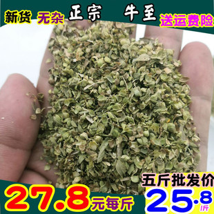 ����ţ��250g500��marjo�����{����ī���m�~���R�����m��