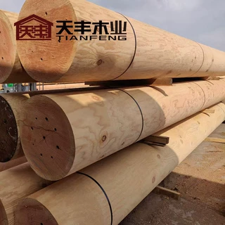 花旗松烘干木方工地用花旗松木方厂家花旗松防腐木圆柱古建料定制