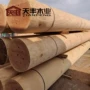 定制古建烘干工地松木方