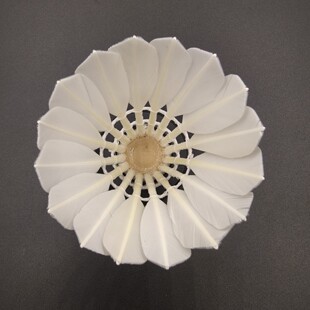 ���\����ȫ�@�����I�o�ˁ�����ë���ʹ����w�з���ȫ�@�����҃���