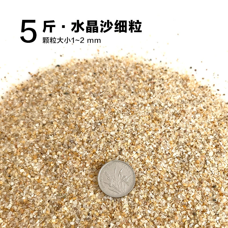 楸肩几搴曠爞閫犳櫙搴曟矙涔岄緹娌虫矙鍖栧