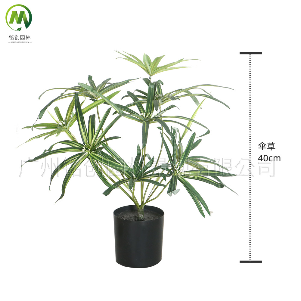 Paisaje interior del suelo, planta pequeña de hoja grande, planta pequeña, planta de taro de hadas, 60cm, planta verde de simulación de monstera, planta pequeña en maceta image 15