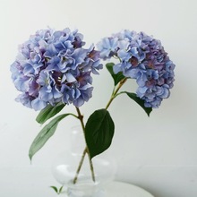 �ذ����ָн��򻨼Ҿӿ͏d�b������ܾ�Ʒ���ܶȷ��滨����ֲ