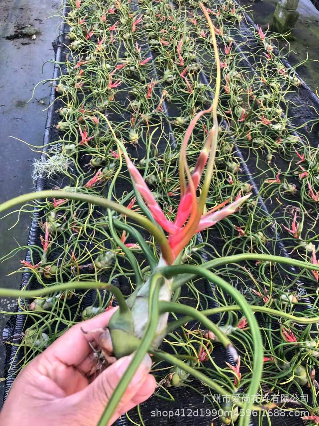 微信图片_20211105042339