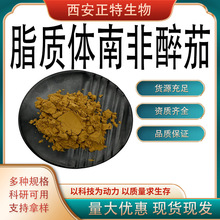 ֬�|�w�Ϸ����� ���у�֬ӡ���˅����ѻ����̙z �Ϸ����ѷ�