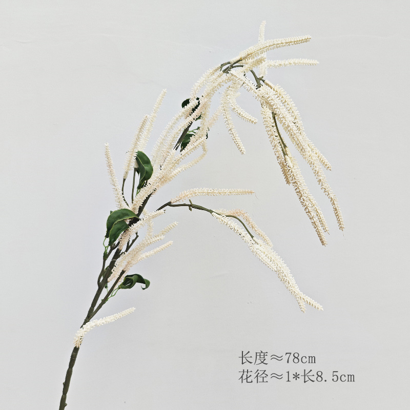 작은 등나무 열매(흰색)