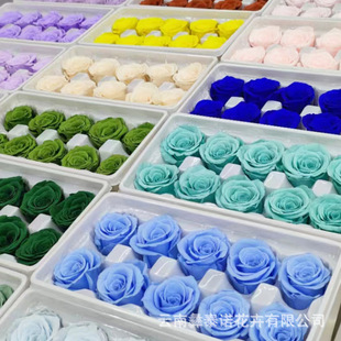 ����õ�廨�^4cm��ϦDIY�����滨���r���羳A��õ��S�����l