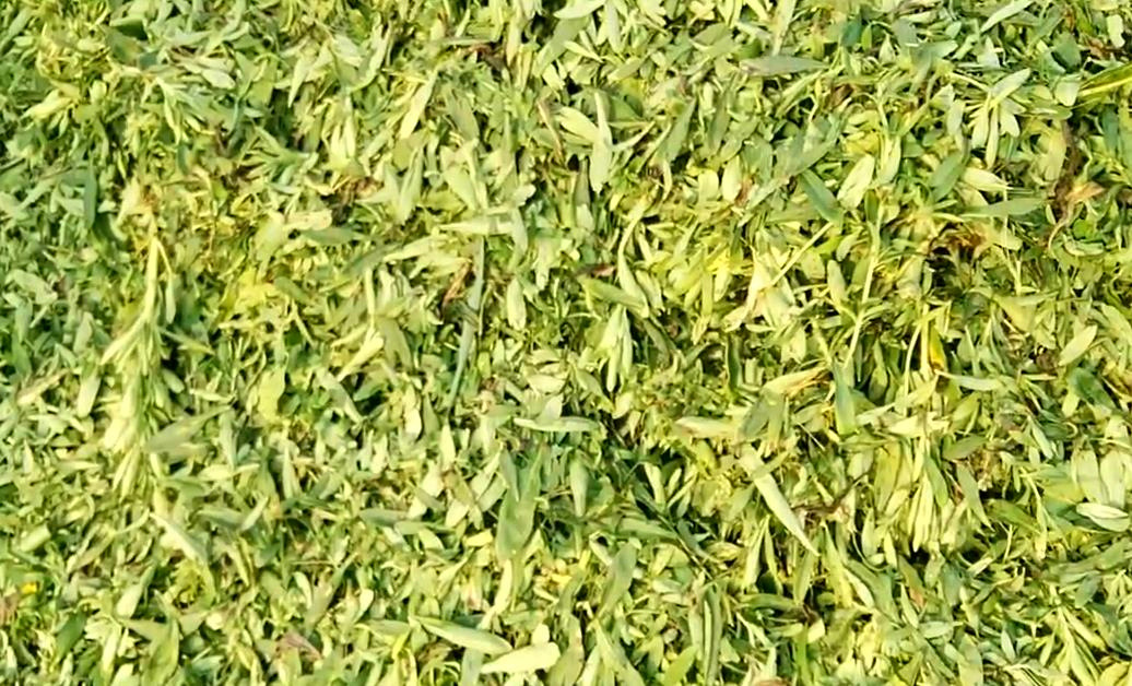 2ffa8f65c3fd659828e0719faca84b