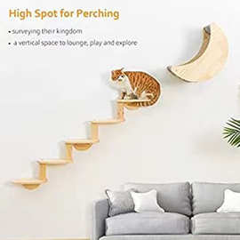 新款猫架实木猫爬架柱墙上墙壁跳台猫窝树壁挂式猫咪用品玩具猫架
