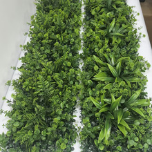 �羳����С��e�L�l�Ҿ��bGɫֲ�������ֲ���ƺ�����