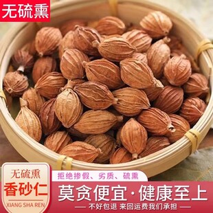 ��ɰ����ɰ��������ɰ�ʷ������u�ϻ�偵��϶�NҎ����x��