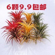 �՚��P��o��ֲ���؃r���x�׷N���BƷ�N�k���҃������ܾGֲ