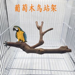 ��Ȼ����ľ�p��W�^�Bվ�ܗ�Ϣĥצ��ߌ���