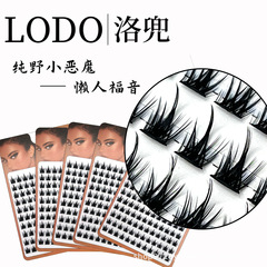 LODO洛兜十排大容量純野惡魔懶人三部曲又純又欲野性芭比假睫毛