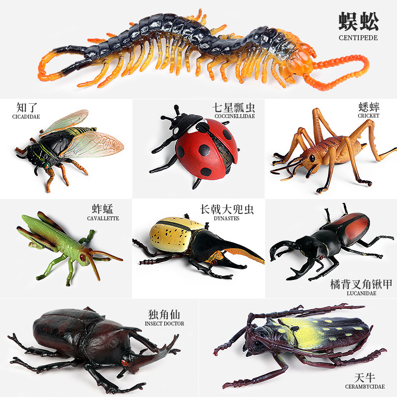 跨境儿童科教仿真动物昆虫模型玩具蜘蛛蚱蜢蝴蝶蜗牛沙盘场景摆件